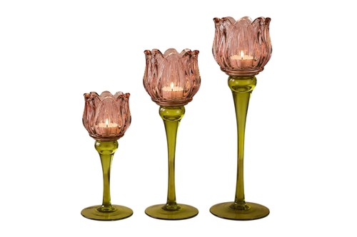 Teelichthalter tulpe glas - tulpe, 3er